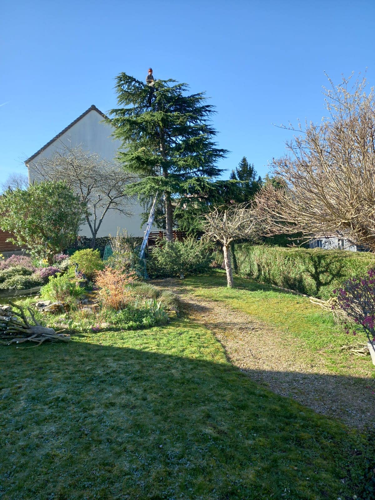 Évacuation des déchets verts 28 Steven Élagueur