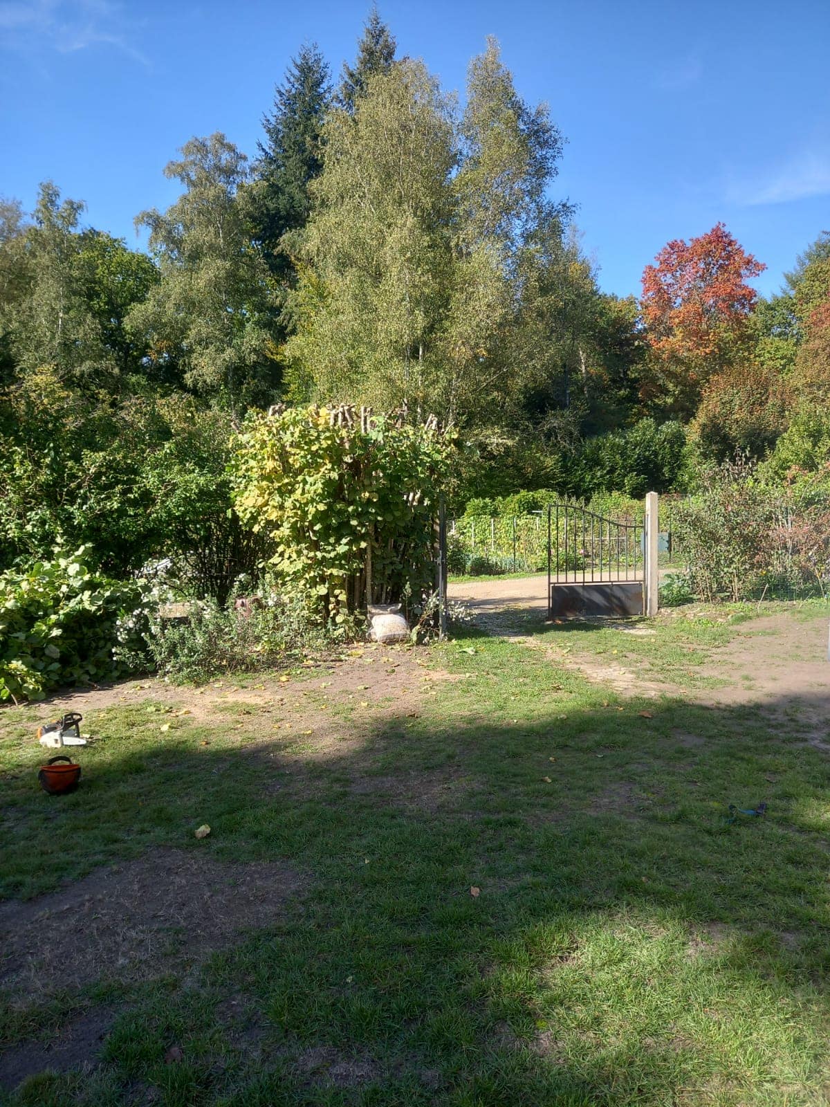 Taille d'arbres fruitiers dans le 28