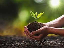 Le traitement et la valorisation des déchets verts