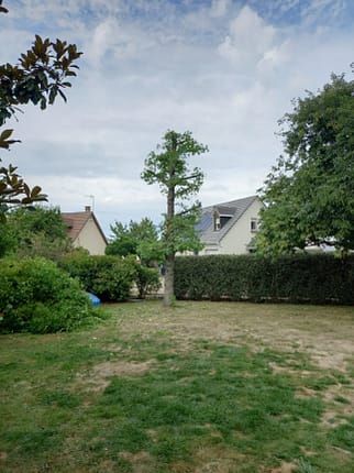 Abattage d’arbres Brou