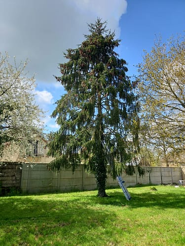 PHOTO-2024-09-06-16-01-56 2