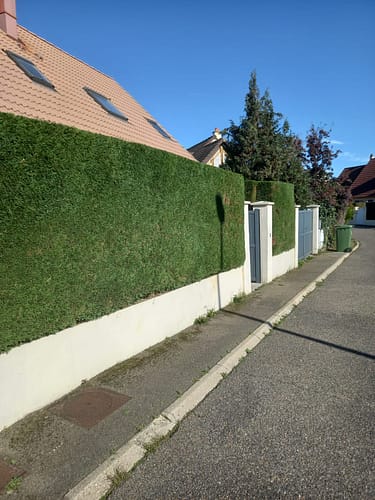 PHOTO-2024-09-06-16-01-59