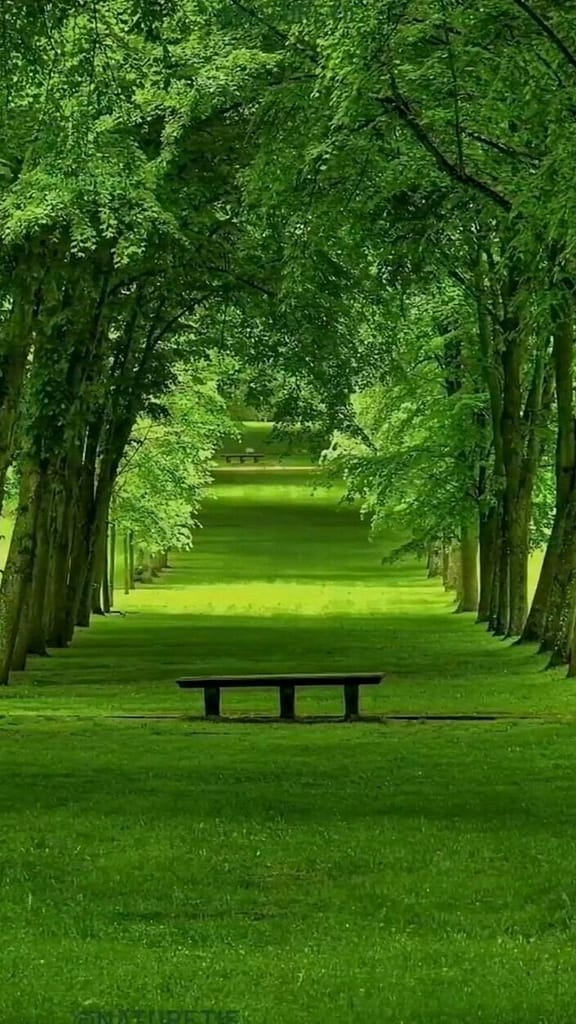 Création de jardins à Chartres (28)