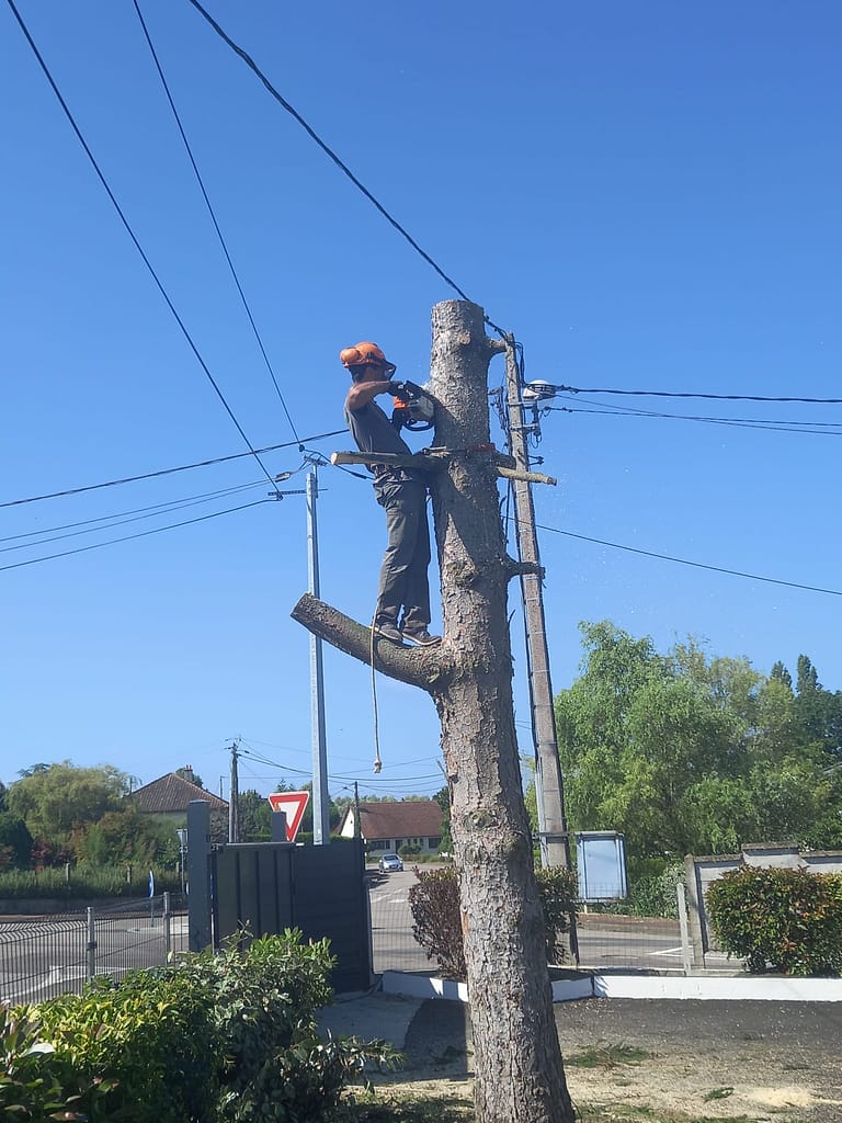 Abattage d’arbres Lucé